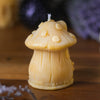 Toadstool Fairy House