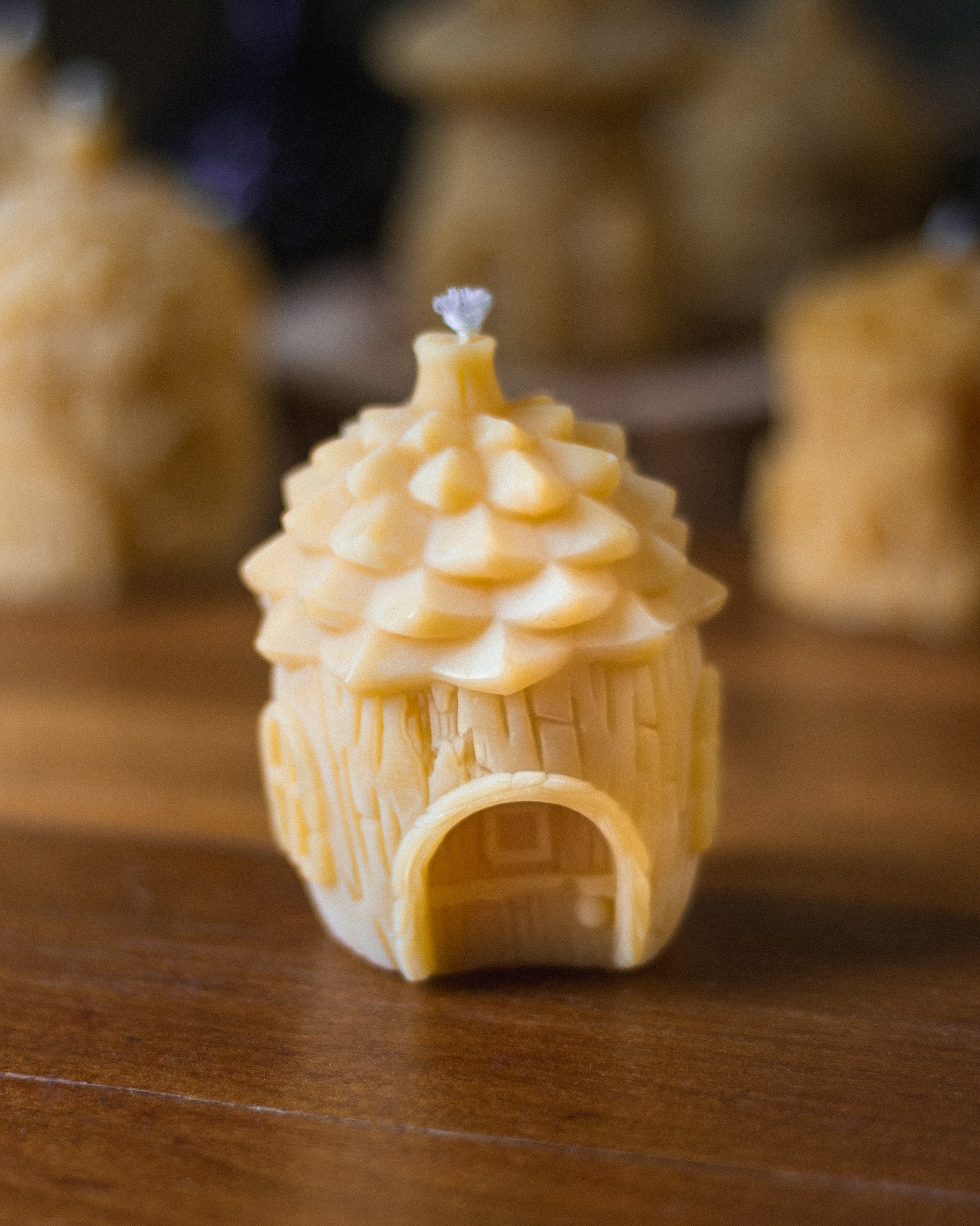 Pinecone Fairy House