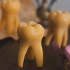 The Tooth Candle