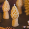 Mini Morel