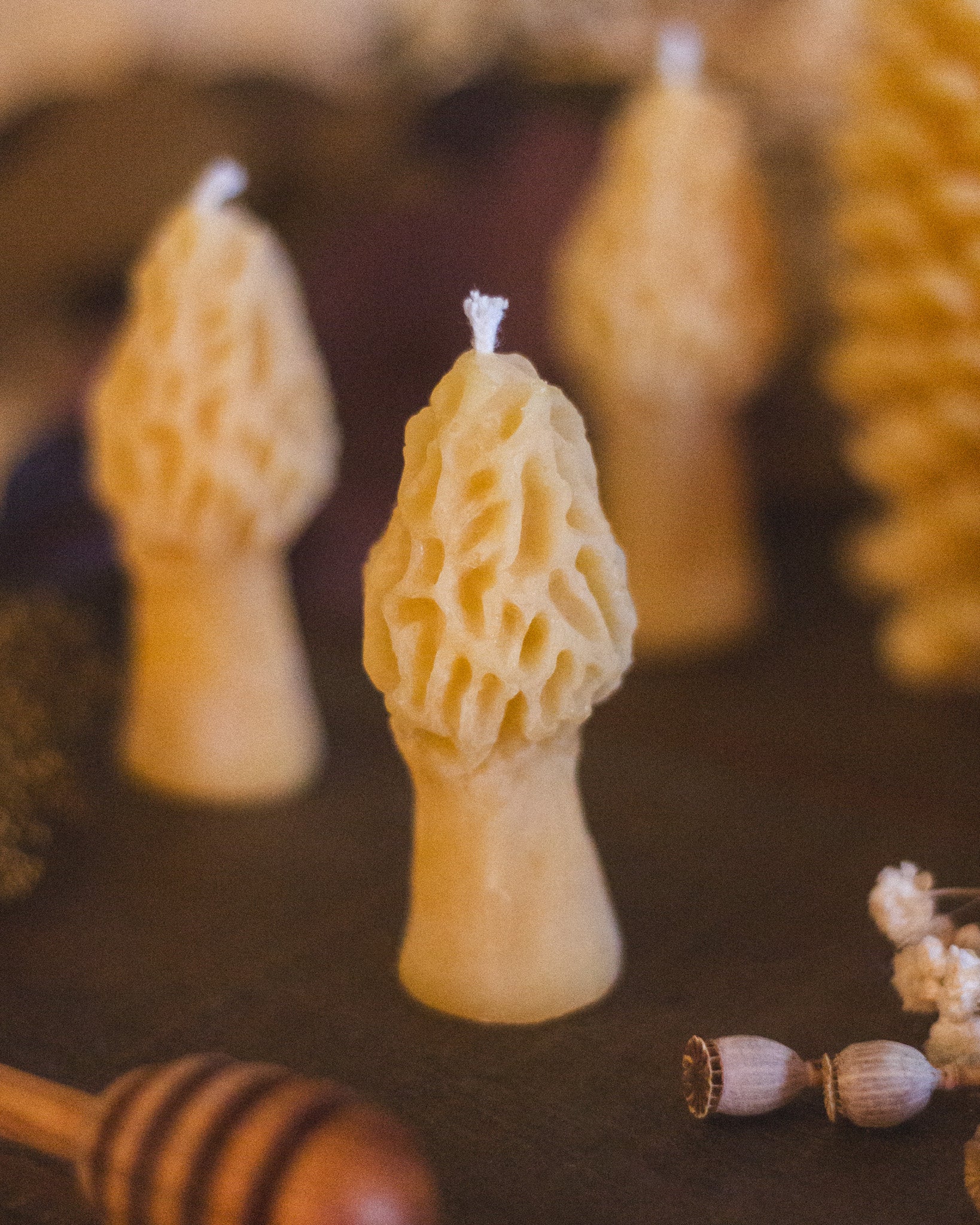 Mini Morel