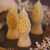 Morel Mushroom Beeswax Candle