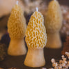 Morel Mushroom Beeswax Candle