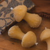 Mushroom Beeswax Candle