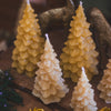 Small Beeswax Tree