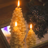 Large Beeswax Tree