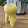 The Tooth Candle