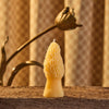 Morel Mushroom Beeswax Candle