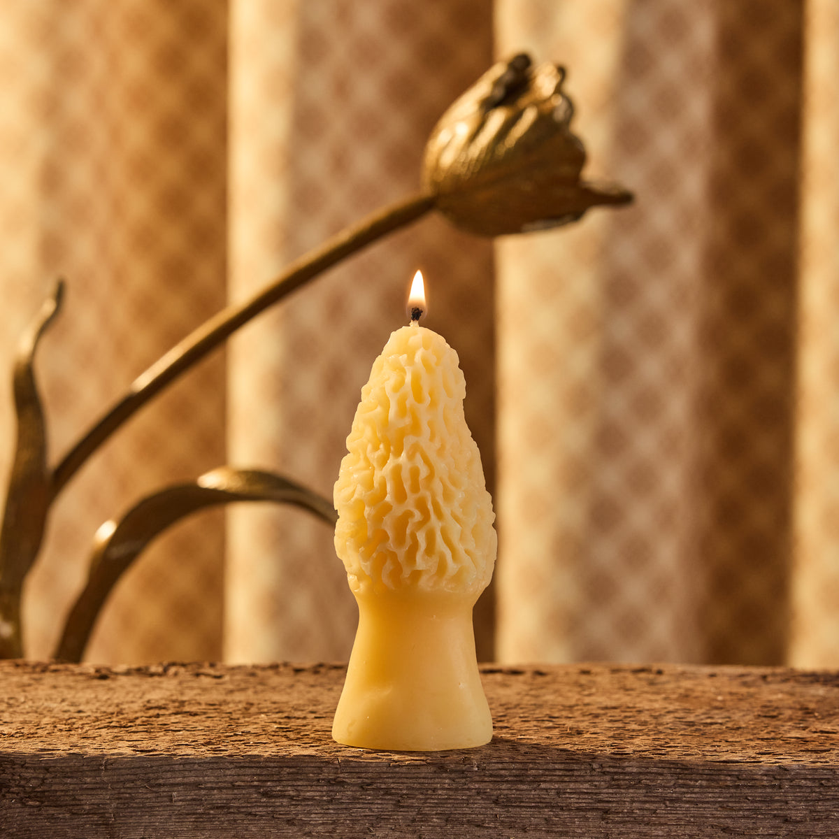 Morel Mushroom Beeswax Candle