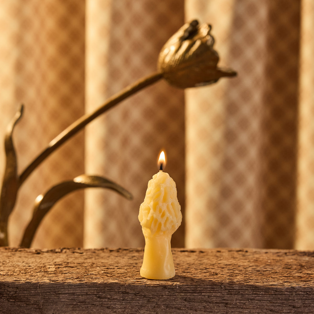 Mini Morel
