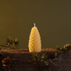 Medium Pinecone Beeswax Candle