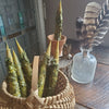 Mugwort Beeswax Taper Candle