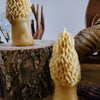 Morel Mushroom Beeswax Candle