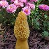 Morel Mushroom Beeswax Candle