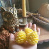 Pinecone Beeswax Candle