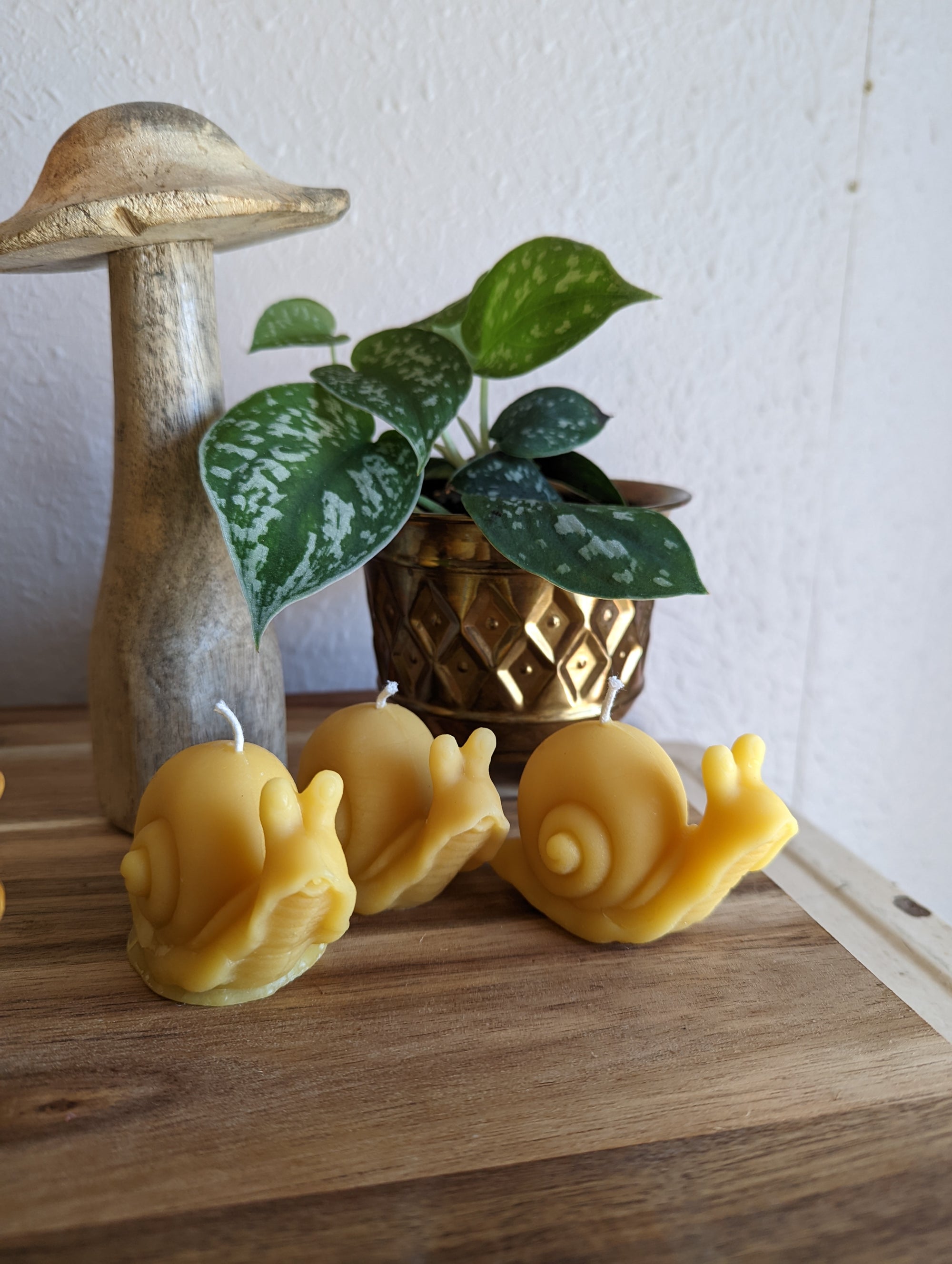 Snail Beeswax Candle