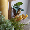 Snail Beeswax Candle