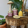 Cinnamon Creamed Honey