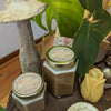 Vanilla Bean Creamed Honey