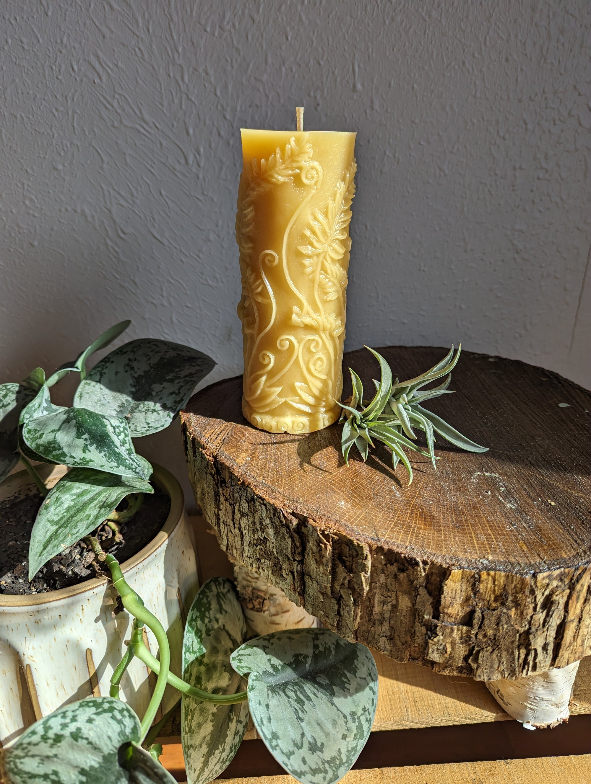 Beeswax Fern Pillar Candle
