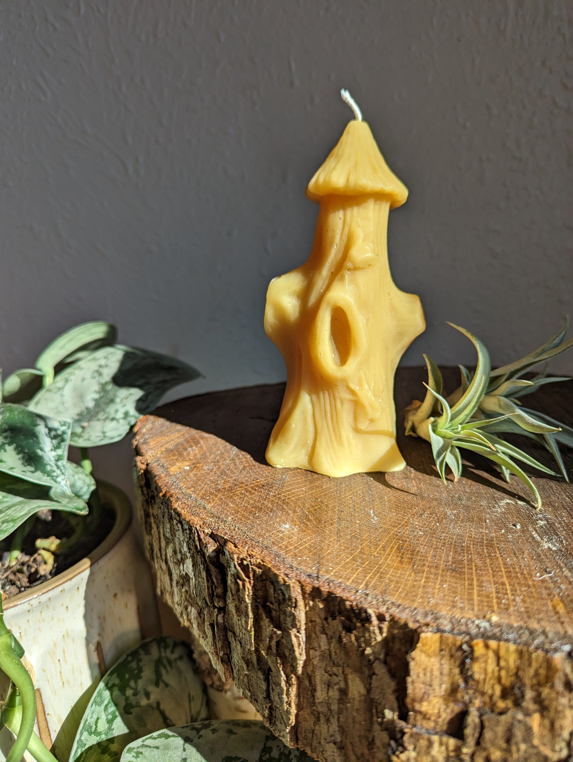 Bee Tree Candle