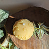 Fern Sphere Beeswax Candle