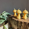 Mushroom Beeswax Candle