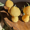 Mushroom Beeswax Candle