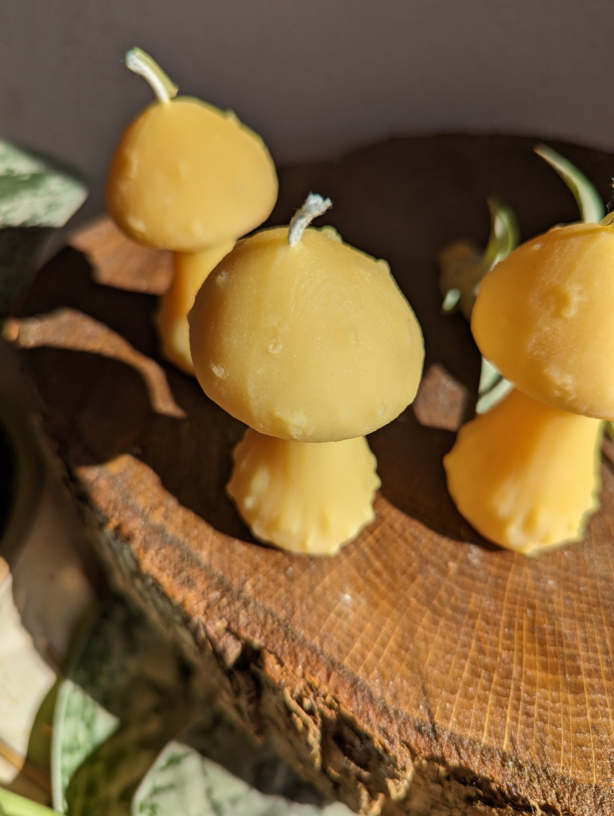 Mushroom Family Flower Candles – Guinevere's Candles
